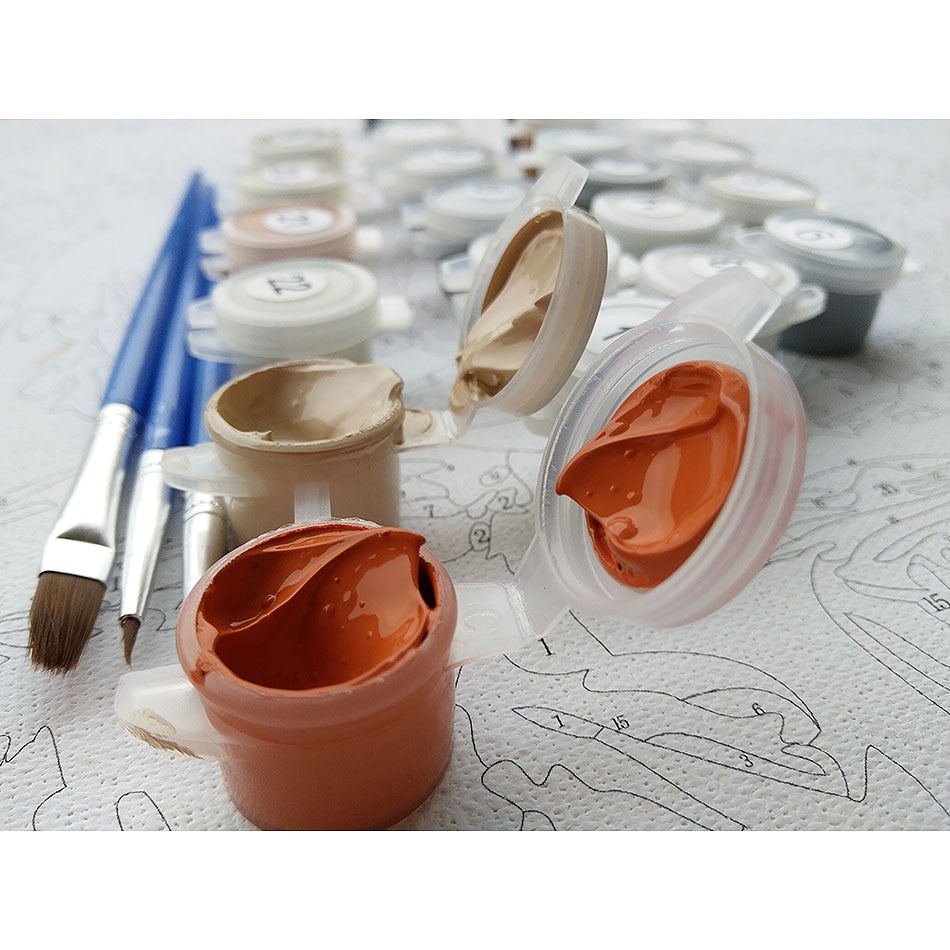 Peony DIY Painting by Numbers