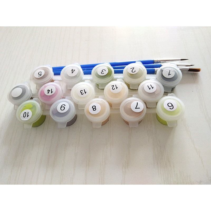 Monkey DIY Painting by Numbers