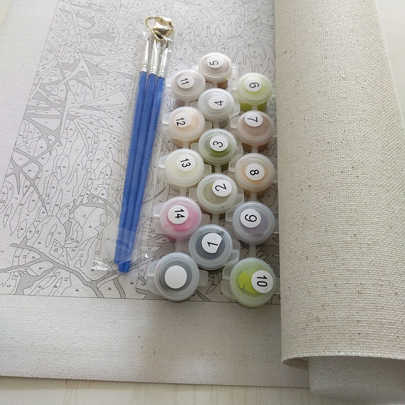 Monkey DIY Painting by Numbers